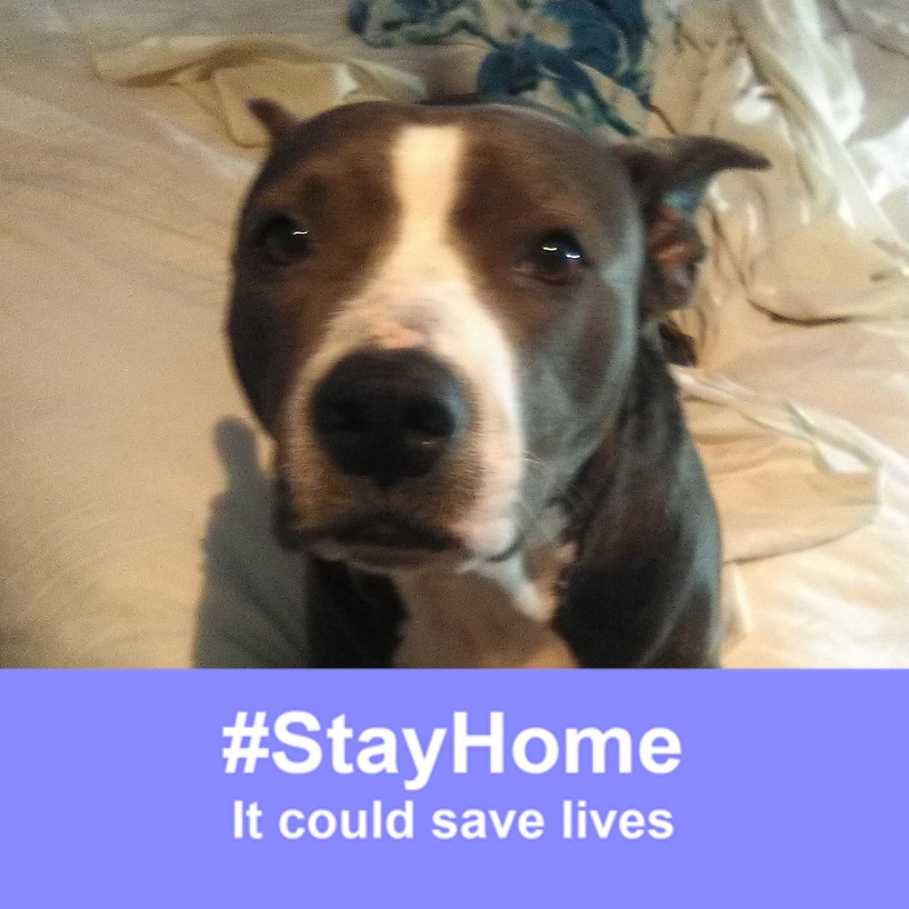 Meet your Posher, Jeri